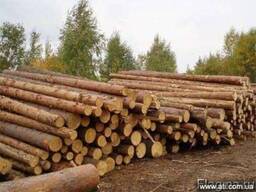Куплю ліс-кругляк свіжопил.