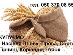 КУПЛЮ НАСІННЯ ЛЬОНУ
