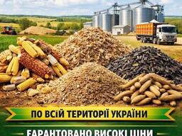 Куплю некондицію, зерновідходи та побічну агропродукцію