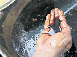 Куплю Олію Технічну