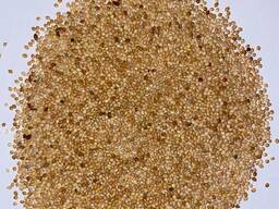 Куплю просо жовте від 50т.