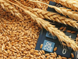 Куплю пшеницю