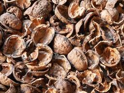 Куплю шкаралупу волоського горіха