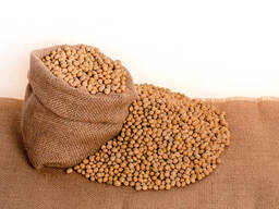 Куплю сою ГМО