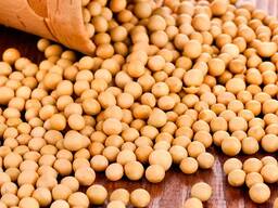 Куплю сою в господарств