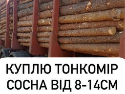 Куплю Сосна тонкомір