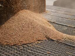 Куплю відходи зерноочищення, лузгу, мертві залишки