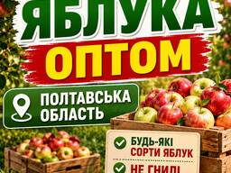 Куплю ябука на переробку різних сортів, не гнилі. Оптом в Полтавській області.