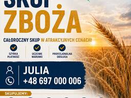 Куплю Зернові культури