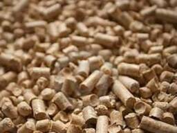 Купляєм пілети 6 мм, полiетиленові мішки по 15 кг.