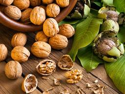 Куплю бойный грецкий орех 2019 года