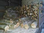 Куплю дрова оптом (акация, дуб, ясень, граб, клён) - фото 1