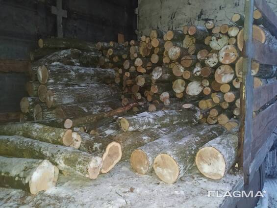 Куплю дрова оптом (акация, дуб, ясень, граб, клён)