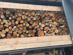 Куплю дрова сосна, вільха, тверді породи, 2-х метровки, метровки. Колоті дрова.
