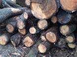 Куплю дуб 3-4 сорт: дошку, дрова ПВ та техсировину - фото 8