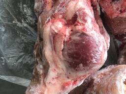 Продам голови свинні