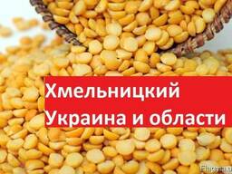 Куплю Горох Хмельницкий Украина