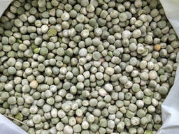 Куплю горох зеленый, сахарный горох