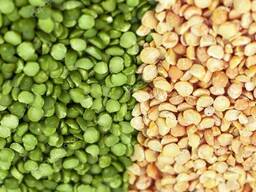 Куплю горох зеленый, желтый