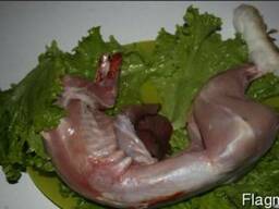 Куплю кролика тушки мяса