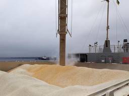 Куплю кукурузу фуражную на экспорт