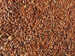 Куплю Лен масличный