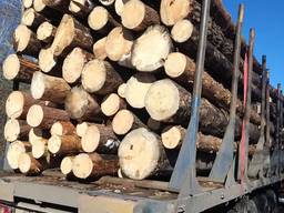 Куплю лес-кругляк, сосна-сухостой, дрова ПВ