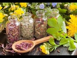 Куплю лист, цвет липы