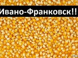 Куплю Кукурузу Ивано-Франковск Украина