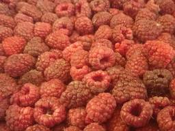 Куплю малину