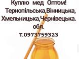 Куплю мед оптом в Тернополі, Хмельницькому, Вінниці та Чернівцях - фото 1