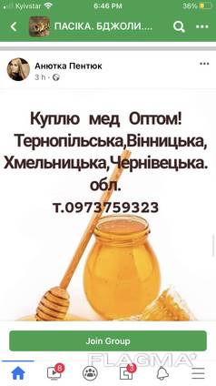 Куплю мед оптом в Тернополі, Хмельницькому, Вінниці та Чернівцях