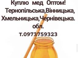 Куплю мед оптом в Тернополі, Хмельницькому, Вінниці та Чернівцях