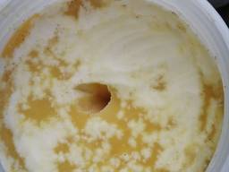 Куплю Мёд Дорого без анализов.