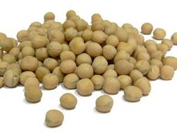 Куплю нут мелкий калибр до 8мм на єкспорт