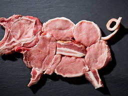 Куплю оптом свинину / говядину (мясо, субпродукты)