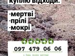 Куплю отходы подсолнуха, рапса, сои прелые, мокрые, лежалые в любом виде - фото 1