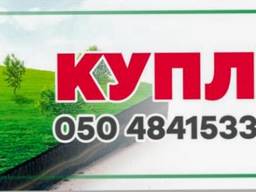 Куплю Пай Запорізька обл