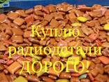 Куплю радиодетали дорого Запорожье Днепр и Украина - фото 1