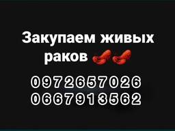 Куплю раки оптом