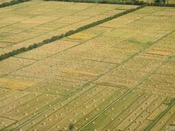 Куплю 1000 гектар и более в Полтавской области