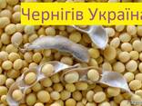 Куплю Сою Чернигов Украина - фото 3