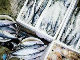 Свежемороженая рыба в ассортименте