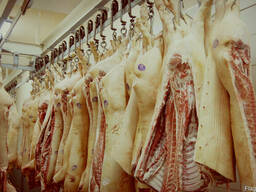 Куплю свинину в полутушах