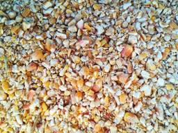 Куплю відходи кукурудзи, не кондиція, крупка, мучка.