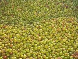 Куплю яблоки некондицию и подбор, оптом на переработку, Харьков, Днепр, Сумы, Полтава