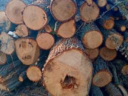 Купуєм дрова дуб