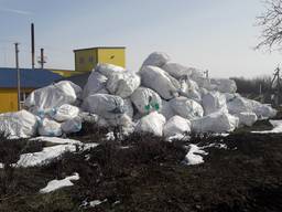 Закупаем биг-беги у фермерских хозяйств