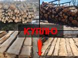 Купуємо дуб: дошку н/о та о/б, дрова ПВ та техсировину - фото 1