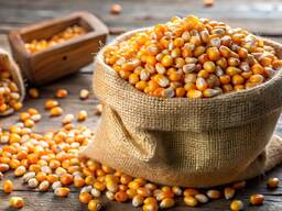 Купуемо кукурузу з ПДВ